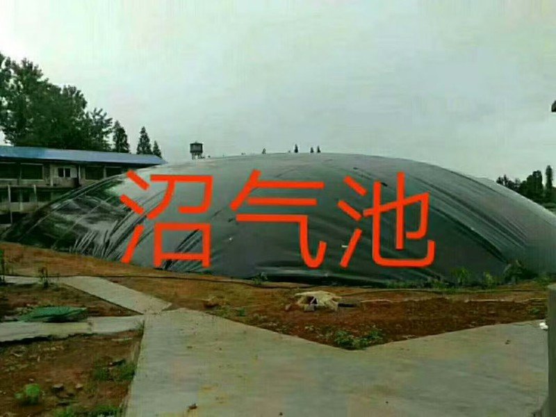 养殖污水沼气池HDPE土工膜防渗｜畜禽粪污资源化利用工程