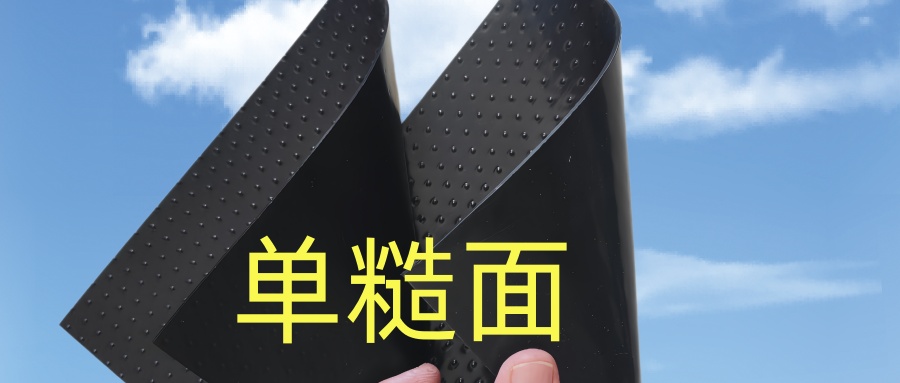 900图片2.jpg