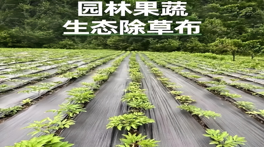 6f432c7e739601bb868bd8eb3cfd1a73.jpg