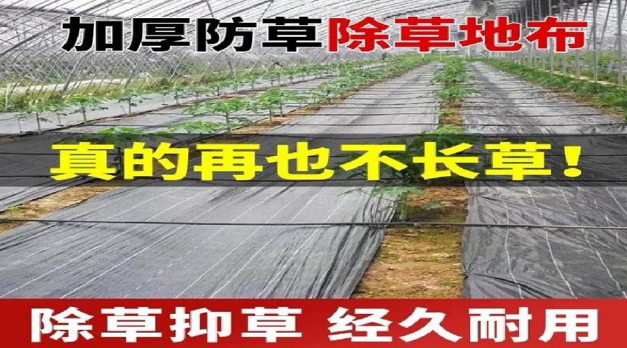 358a6defc2878f997aa726093fa46049.jpg